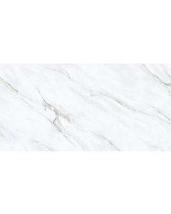 63X122 CERAMICO MONT BLANC LUX PULIDO P63005 EMBRAMACO
